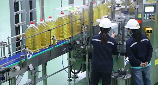 河北嘉好5000噸大豆項目投產