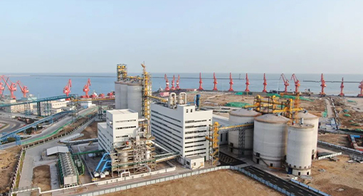 邁安德承建青島渤海6000噸大豆生產線