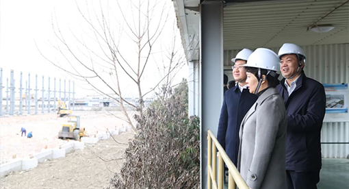 張寶娟書記視察邁安德春節后復工復產情況