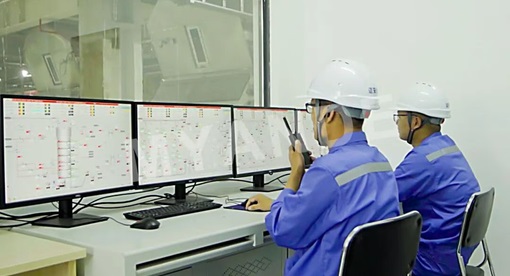 邁安德承建的路易達(dá)孚年加工96萬(wàn)噸智能榨油廠